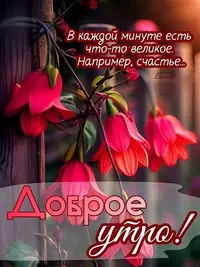0329_141039_473.webp