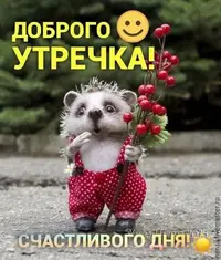 2114df25a24e4cb77b53127989576479.webp