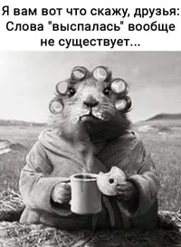 c70045e4065d378a808e9abe2f07e0f6.webp