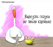 c3b833ddf6fcd0efa9436c236d103471.webp