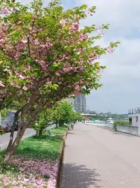 20250425_142528.webp