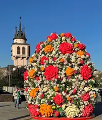 IMG_20250426_232509.webp