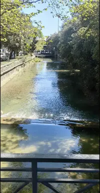 1745782839449.webp