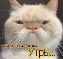 11cbcb56f748d45c43ea9cced2a2823d.webp