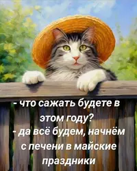 426_190651_562.webp