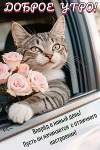3f0a427be59389cb509708619c70560d.webp