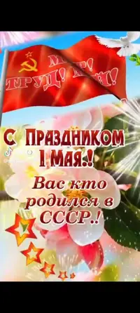 1000119126.webp