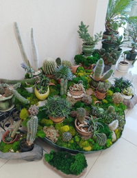 Screenshot_20250501-083422.webp