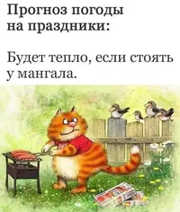 26_224326_369.webp