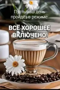1000119411.webp