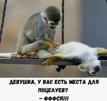 IMG_2237.webp