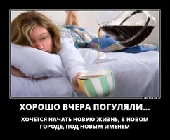 291499434_0f7047db44f9917bb1671472ce415e35_800.webp