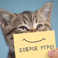 d1faf45b413b06c2e14b50667ccd24b4.webp