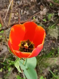 20250504115646.webp
