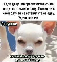 491434570_18169124701331096_688688183410952140_n.webp