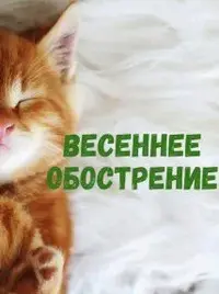 1678237505_32.webp