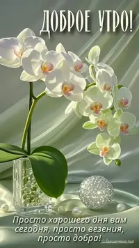 e9b683b3505b70480dd7a1ea0388ef57.webp