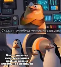 491466312_18041530055530958_7630205899137213622_n.webp