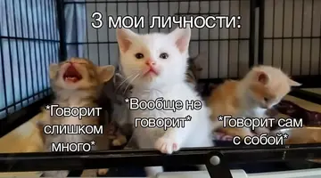 495240471_18272501593262720_8175591556846856479_n.webp