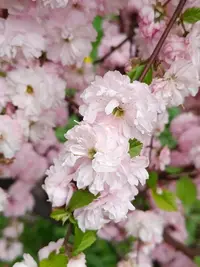 20250507111326.webp