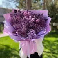images-2.webp
