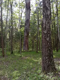 IMG_20250508_170902.webp