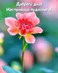 download.webp