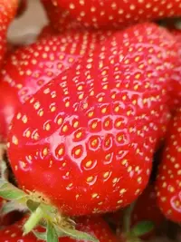 IMG_20250510_080129_281.webp