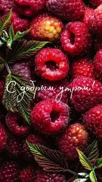 6862d67a5f7e7cd6a804862f1386ee1b.webp