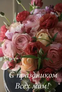 IMG_2410.webp
