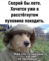 08_204521_191.webp