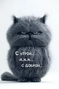 348b953ccd28ad231b0404e7b41d86aa.webp