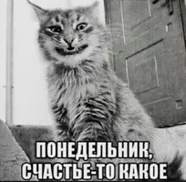 33b69e53969b06d4e40de0f58aee67c6.webp