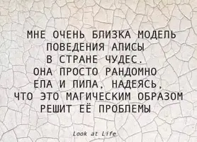 1000120915.webp