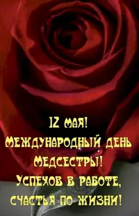 1000120924.webp