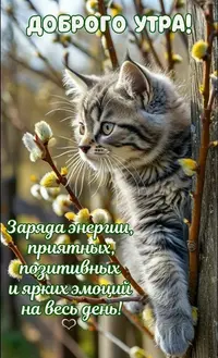 14_092708_277.webp