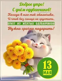 1000121303.webp