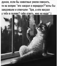 1000020373.webp