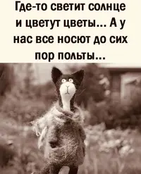 0bb260e318a1af9ee31a6ed883fcc341.webp