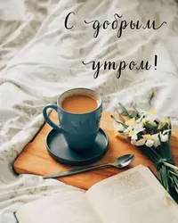 94917c96fda0e1d639e4871fdea6c368.webp
