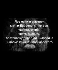 491442496_17918942370087132_8790850871223677798_n.webp
