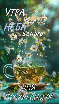 4509a44ec9a1db7428960d4b3f683ae1.webp