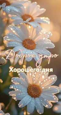 IMG_2529.webp