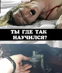 IEU6uwkfGji7P6_QQ7bSY7UBbio-1920.webp