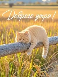10b5b59c362b75e207a76f2e9b502f47.webp