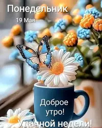 499529087_18315888586231591_2434 (1).webp
