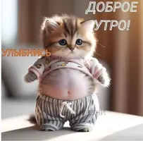 46838a3b820c4c574eff5c40f728695d.webp