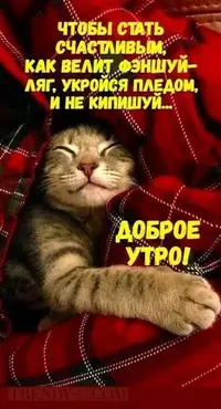 0419_072953_174.webp