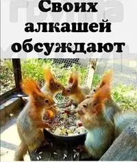 0422_203343_221.webp