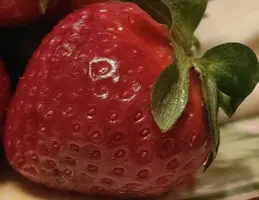 1748025350293.webp
